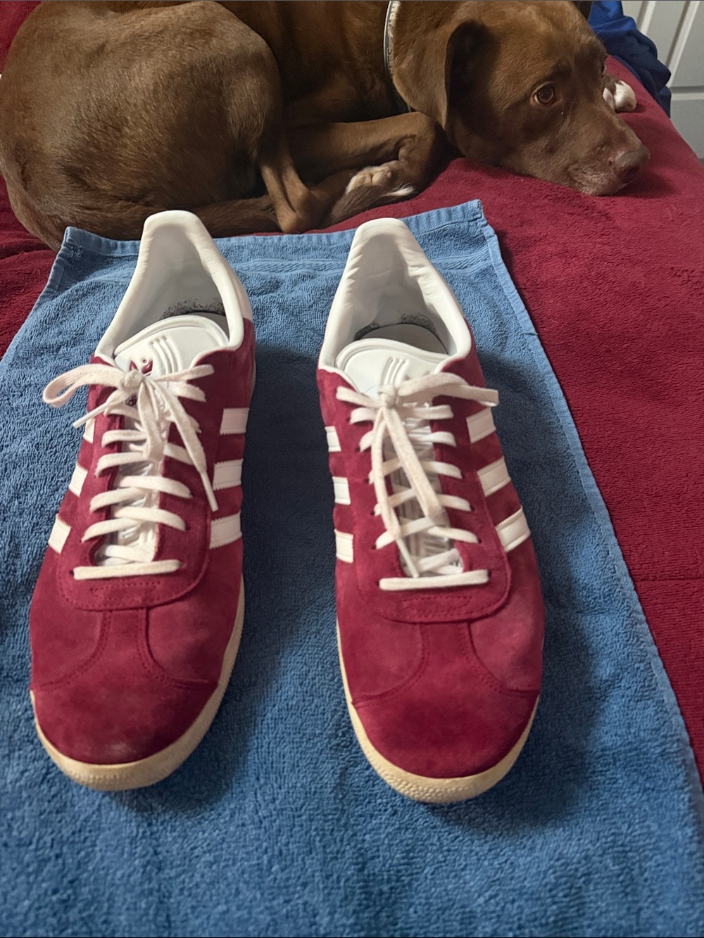 adidas Men’s Burgundy Suede Sneakers with White Stripes